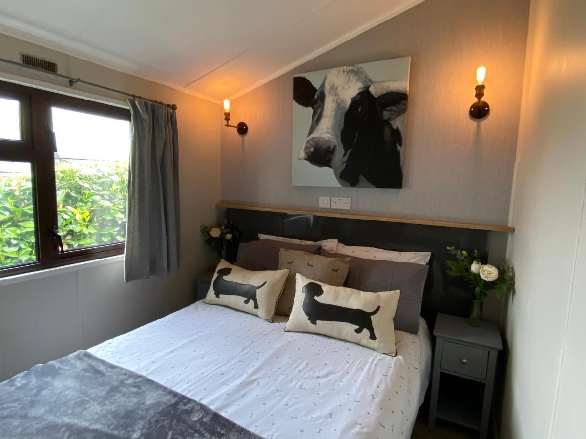 Rew Farm Country & Equestrian Accommodation - Sunrise Lodge Melksham Esterno foto