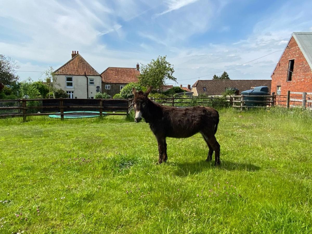Rew Farm Country & Equestrian Accommodation - Sunrise Lodge Melksham Esterno foto