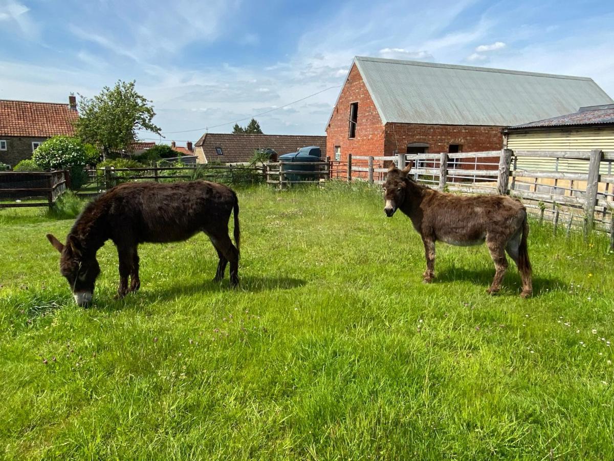 Rew Farm Country & Equestrian Accommodation - Sunrise Lodge Melksham Esterno foto