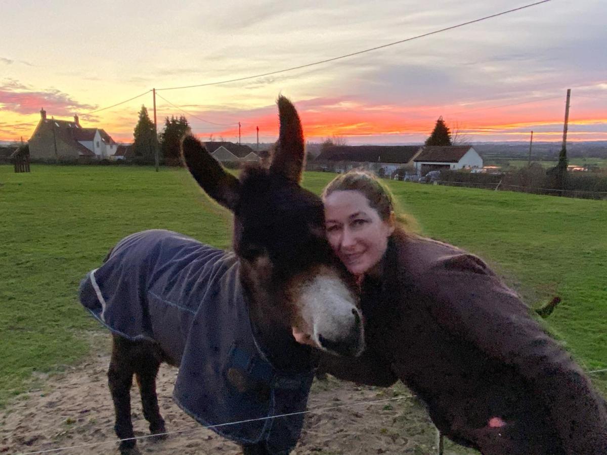 Rew Farm Country & Equestrian Accommodation - Sunrise Lodge Melksham Esterno foto