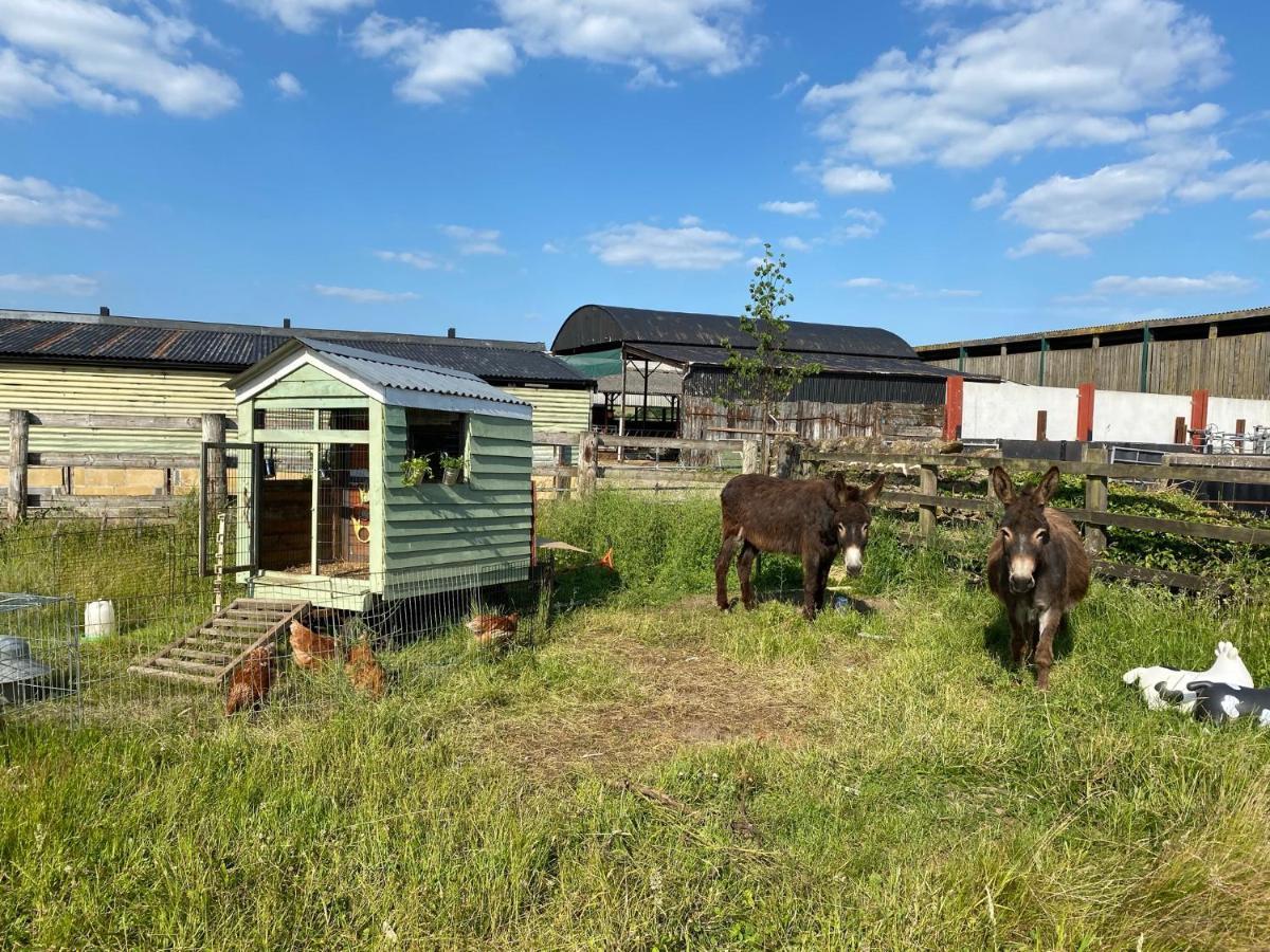 Rew Farm Country & Equestrian Accommodation - Sunrise Lodge Melksham Esterno foto