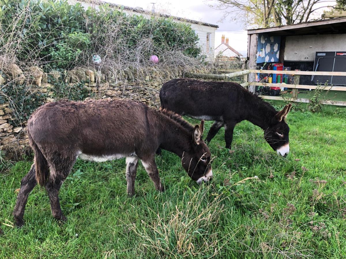 Rew Farm Country & Equestrian Accommodation - Sunrise Lodge Melksham Esterno foto