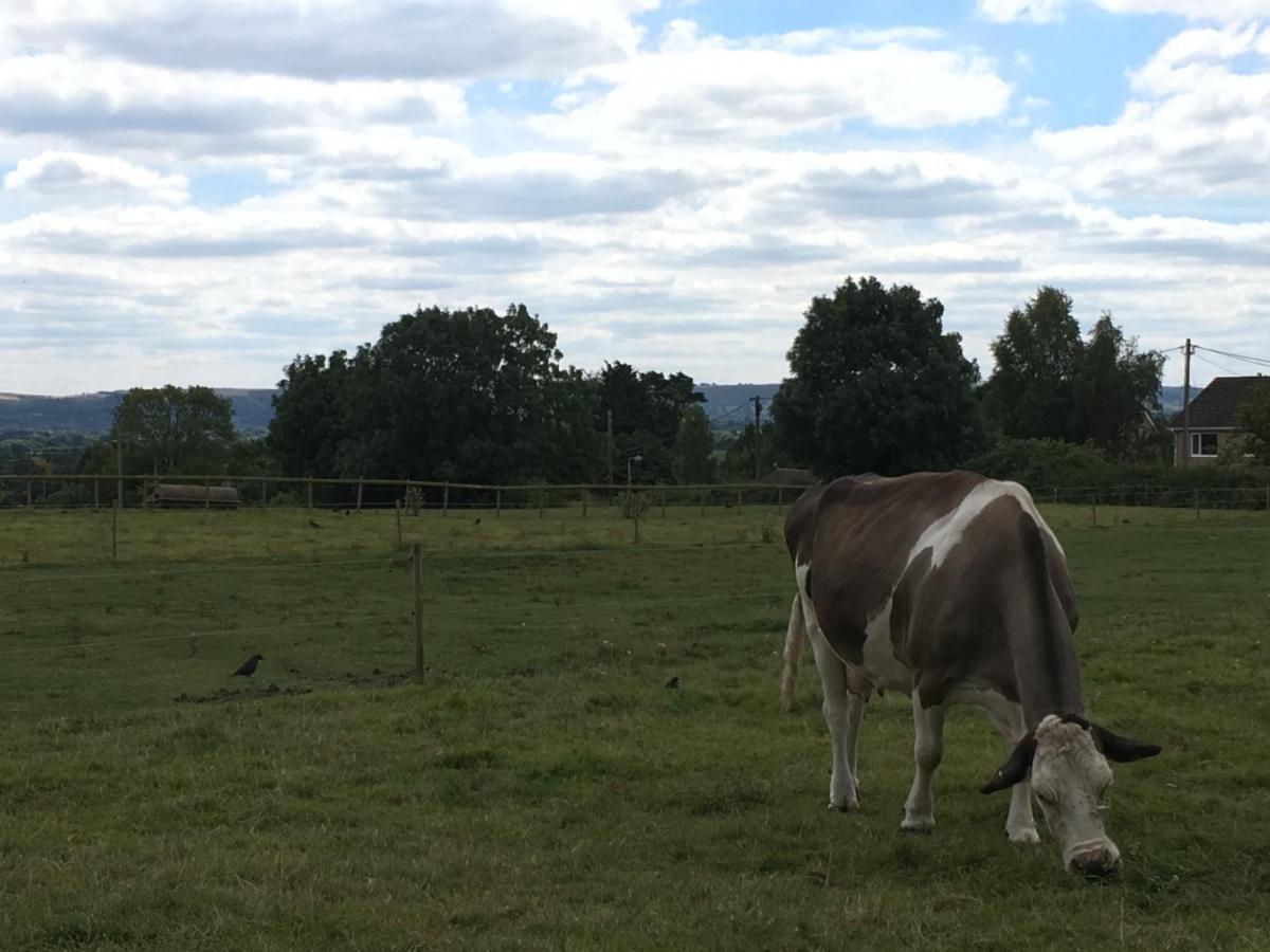 Rew Farm Country & Equestrian Accommodation - Sunrise Lodge Melksham Esterno foto