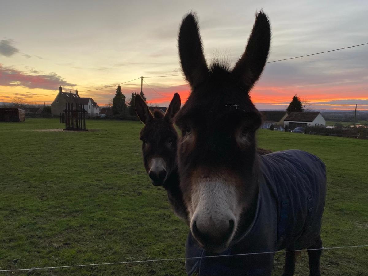 Rew Farm Country & Equestrian Accommodation - Sunrise Lodge Melksham Esterno foto