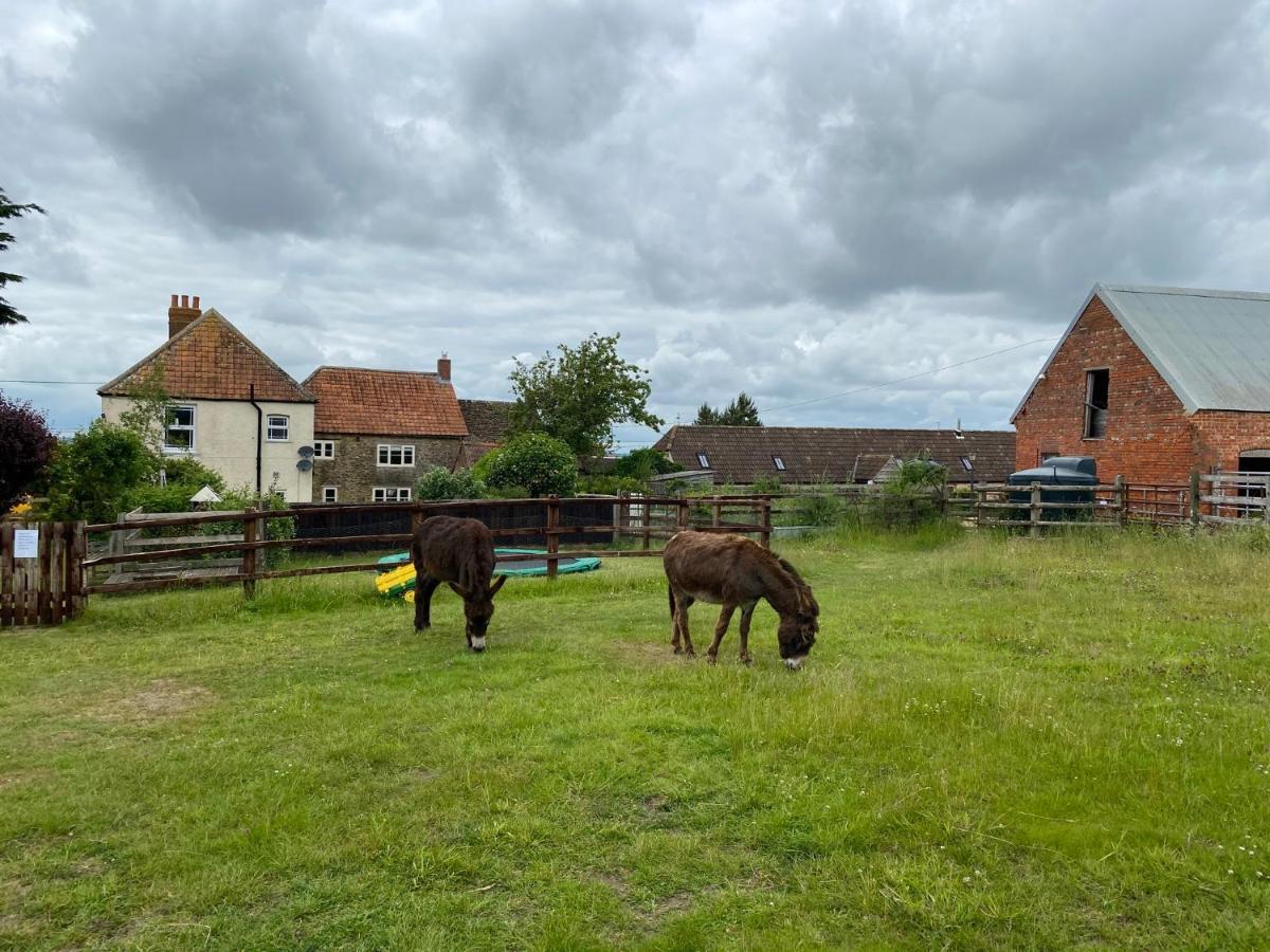 Rew Farm Country & Equestrian Accommodation - Sunrise Lodge Melksham Esterno foto