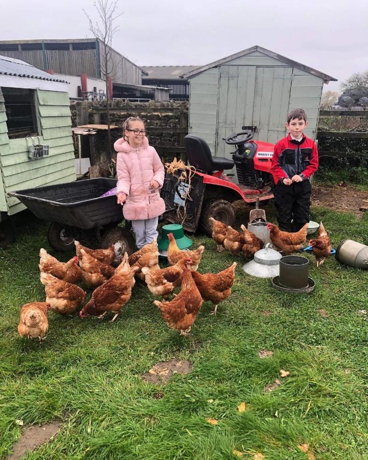 Rew Farm Country & Equestrian Accommodation - Sunrise Lodge Melksham Esterno foto