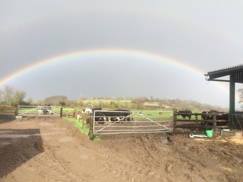 Rew Farm Country & Equestrian Accommodation - Sunrise Lodge Melksham Esterno foto