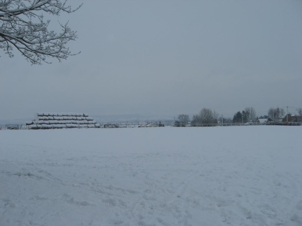 Rew Farm Country & Equestrian Accommodation - Sunrise Lodge Melksham Esterno foto