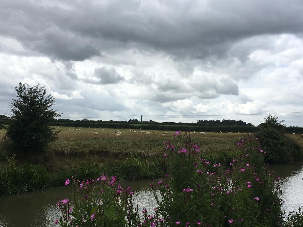 Rew Farm Country & Equestrian Accommodation - Sunrise Lodge Melksham Esterno foto