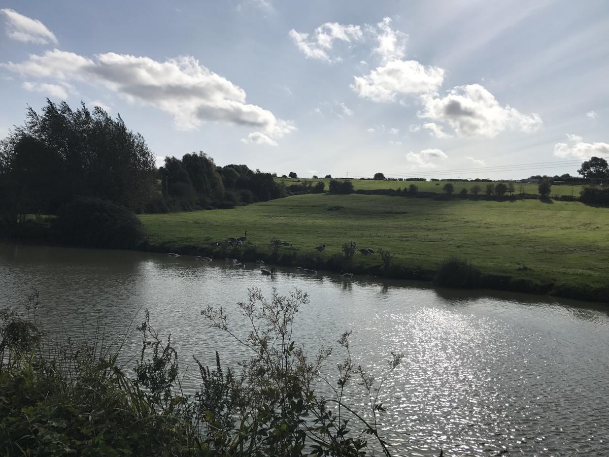 Rew Farm Country & Equestrian Accommodation - Sunrise Lodge Melksham Esterno foto