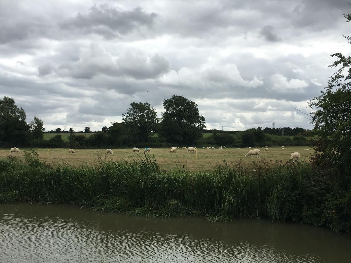 Rew Farm Country & Equestrian Accommodation - Sunrise Lodge Melksham Esterno foto